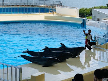 マリンワールド海の中道に投稿された画像（2022/9/13）