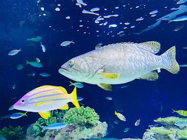 マリンワールド海の中道に投稿された画像（2022/9/13）