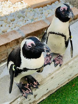 マリンワールド海の中道に投稿された画像（2022/9/13）