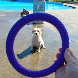 わんダフルネイチャーヴィレッジに投稿された画像（2022/9/13）