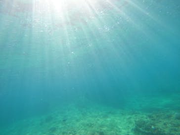 沖縄マリンサービス碧に投稿された画像（2022/9/13）