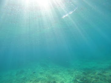 沖縄マリンサービス碧に投稿された画像（2022/9/13）