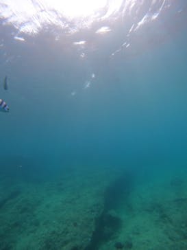 沖縄マリンサービス碧に投稿された画像（2022/9/13）