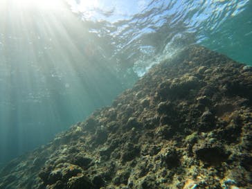 沖縄マリンサービス碧に投稿された画像（2022/9/13）