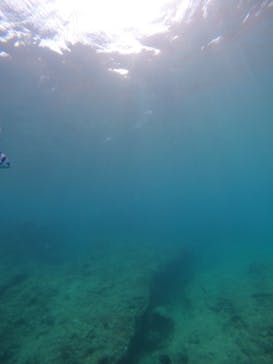 沖縄マリンサービス碧に投稿された画像（2022/9/13）