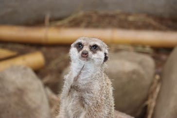 群馬サファリパークに投稿された画像（2022/9/13）