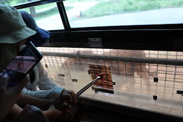 群馬サファリパークに投稿された画像（2022/9/13）