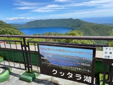 のぼりべつクマ牧場に投稿された画像（2022/9/13）