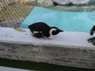 マリンワールド海の中道に投稿された画像（2022/9/13）