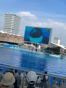 名古屋港水族館に投稿された画像（2022/9/13）