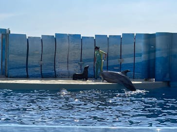 新江ノ島水族館に投稿された画像（2022/9/13）