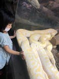 体感型動物園iZooに投稿された画像（2022/9/13）