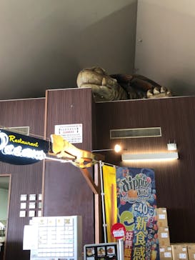 体感型動物園iZooに投稿された画像（2022/9/13）