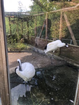体感型動物園iZooに投稿された画像（2022/9/13）