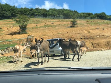 東北サファリパークに投稿された画像（2022/9/13）