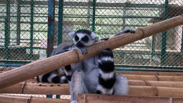 東北サファリパークに投稿された画像（2022/9/13）