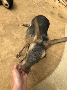 東北サファリパークに投稿された画像（2022/9/13）