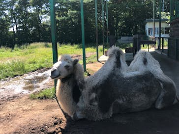 東北サファリパークに投稿された画像（2022/9/13）
