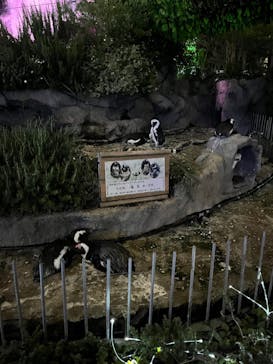 サンシャイン水族館に投稿された画像（2022/9/13）