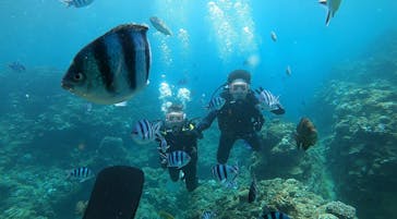 武藤潜水に投稿された画像（2022/9/13）