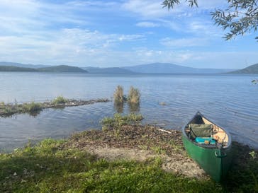 Matatabi（マタタビ）に投稿された画像（2022/9/13）