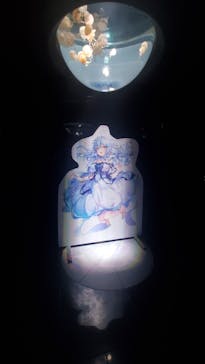 サンシャイン水族館に投稿された画像（2022/9/13）