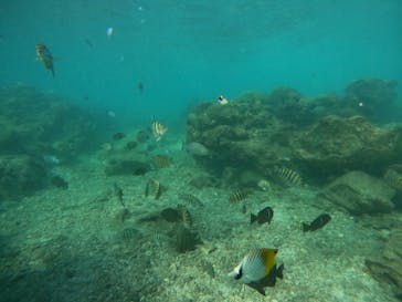 沖縄マリンサービス碧に投稿された画像（2022/9/13）