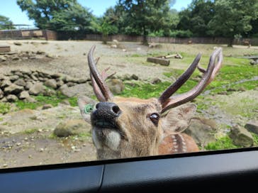 那須サファリパークに投稿された画像（2022/9/14）
