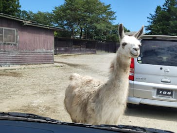 那須サファリパークに投稿された画像（2022/9/14）