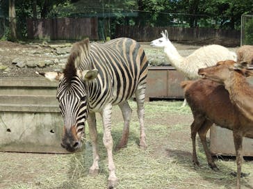 那須サファリパークに投稿された画像（2022/9/14）