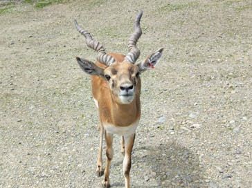 那須サファリパークに投稿された画像（2022/9/14）