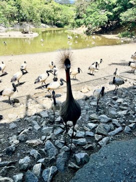 ネオパークオキナワに投稿された画像（2022/9/14）