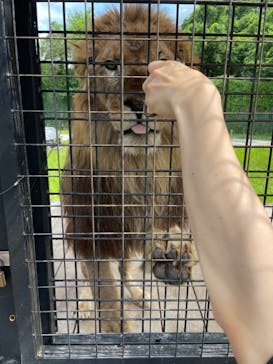 那須サファリパークに投稿された画像（2022/9/14）