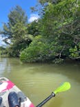 比謝川カヤックに投稿された画像（2022/9/14）