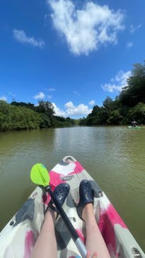 比謝川カヤックに投稿された画像（2022/9/14）