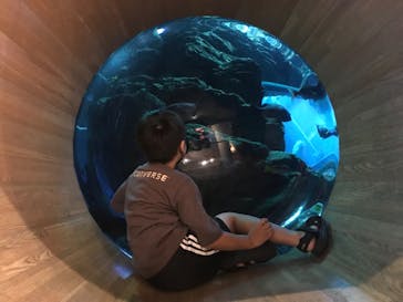 大分マリーンパレス水族館 「うみたまご」に投稿された画像（2022/9/14）