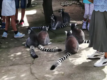神戸どうぶつ王国に投稿された画像（2022/9/14）