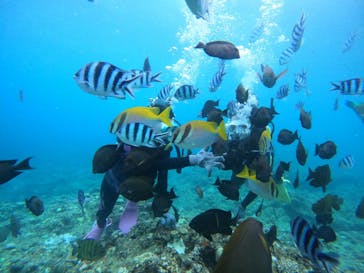 沖縄マリンサービス碧に投稿された画像（2022/9/14）