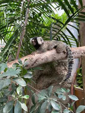 神戸どうぶつ王国に投稿された画像（2022/9/14）