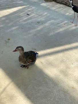 神戸どうぶつ王国に投稿された画像（2022/9/14）