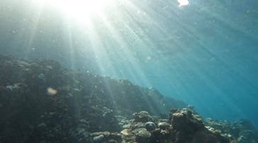 沖縄マリンサービス碧に投稿された画像（2022/9/14）