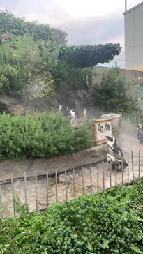 サンシャイン水族館に投稿された画像（2022/9/14）