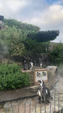 サンシャイン水族館に投稿された画像（2022/9/14）