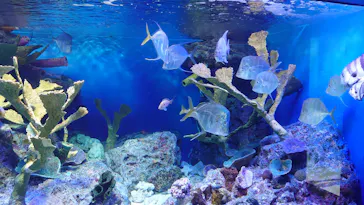 サンシャイン水族館に投稿された画像（2022/9/14）