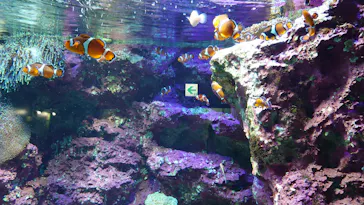 サンシャイン水族館に投稿された画像（2022/9/14）