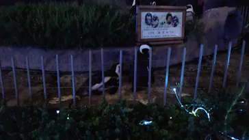 サンシャイン水族館に投稿された画像（2022/9/14）