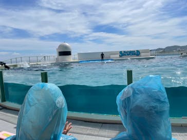 鴨川シーワールドに投稿された画像（2022/9/14）