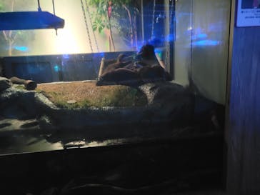 サンシャイン水族館に投稿された画像（2022/9/14）