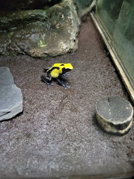 サンシャイン水族館に投稿された画像（2022/9/14）