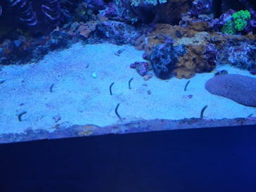 サンシャイン水族館に投稿された画像（2022/9/14）